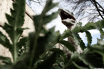 Dino in the Leaves