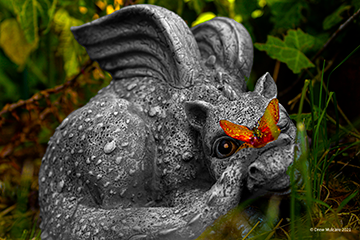 Dragon with Butterfly