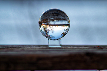 Lensball in a Snowy Elm Park